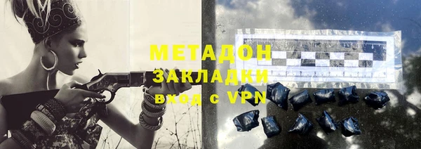 прущие грибы Гусь-Хрустальный