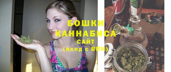 прущие грибы Гусь-Хрустальный