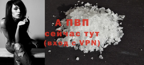 прущие грибы Гусь-Хрустальный