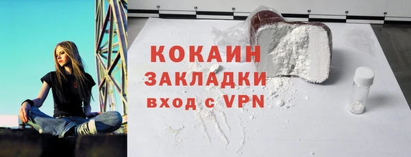 прущие грибы Гусь-Хрустальный