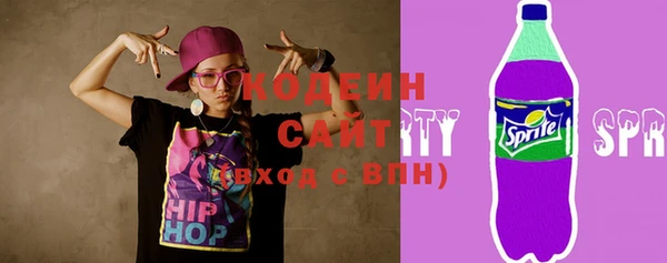 прущие грибы Гусь-Хрустальный