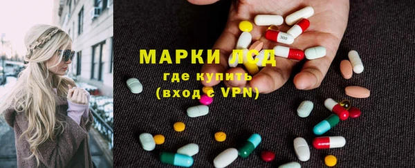 прущие грибы Гусь-Хрустальный