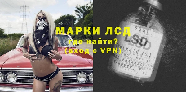 прущие грибы Гусь-Хрустальный