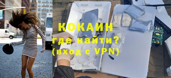 прущие грибы Гусь-Хрустальный