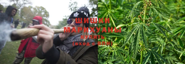 прущие грибы Гусь-Хрустальный