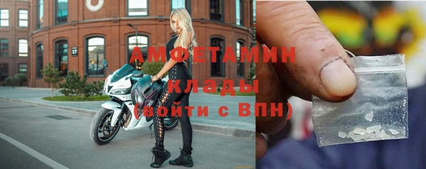 прущие грибы Гусь-Хрустальный