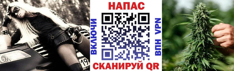 дарнет шоп  Домодедово  МАРИХУАНА Amnesia 